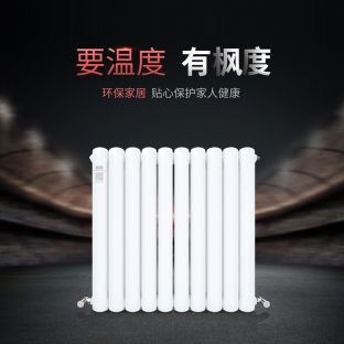 鋼制60×30散熱器